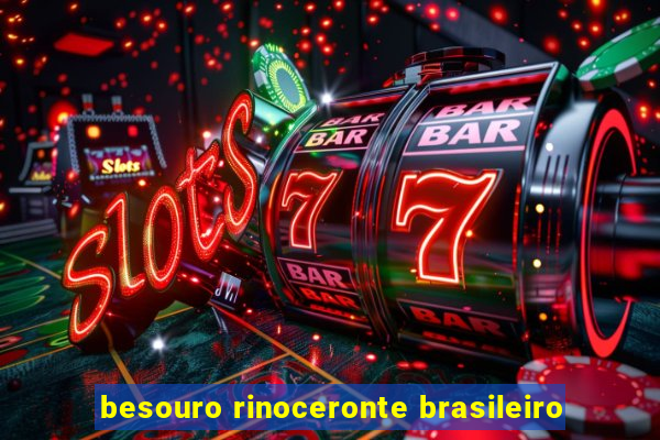 besouro rinoceronte brasileiro